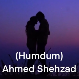 Humdum