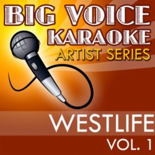 Big Voice Karaoke