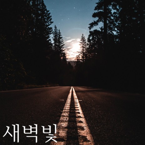 새벽빛 | Boomplay Music