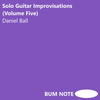 Solo Guitar Improvisations (Volume Five)