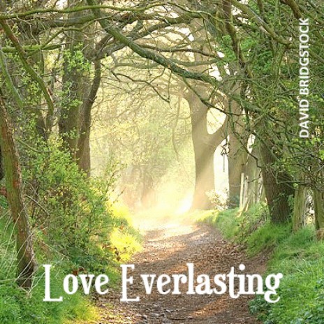 Love Everlasting | Boomplay Music