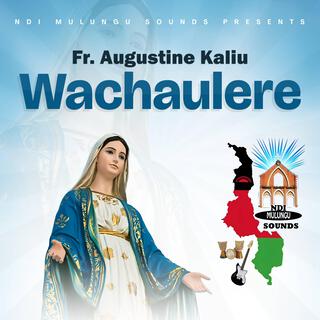 Wachaulere