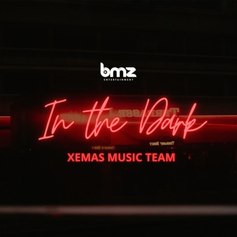 In The Dark ft. BMZ | Boomplay Music