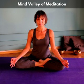 Mind Valley of Meditation
