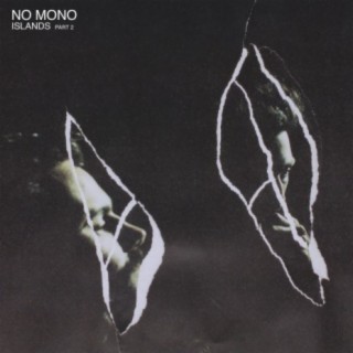 No Mono