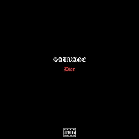 Sauvage Dior | Boomplay Music