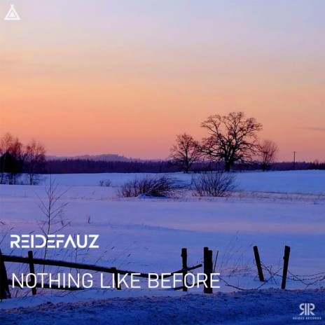 Nothing like Before | Boomplay Music