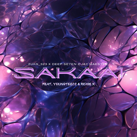 Sakaa (Radio Edit) ft. Deep Se7en, Jay Maester, YoungTee02 & Richie X | Boomplay Music