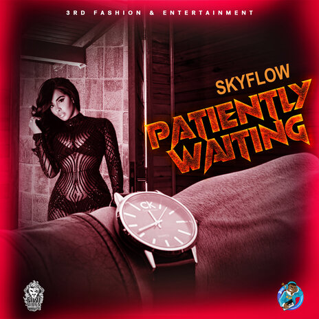 Skyflow - Patiently Waiting (Official Audio) | Boomplay Music