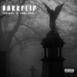 BAKKFLIP ft. YVNG JRIP lyrics | Boomplay Music