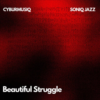 Beautiful Struggle