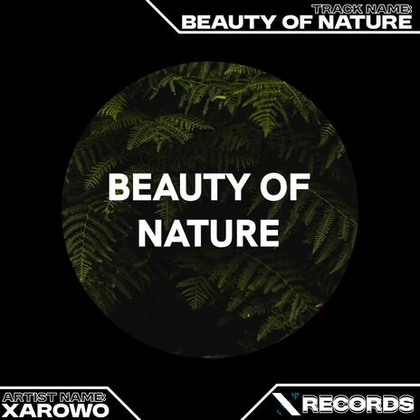 Beauty Of Nature | Boomplay Music