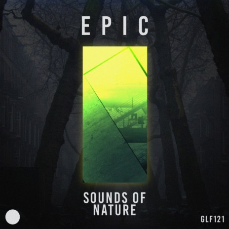 Forest Sounds (Original Mix)