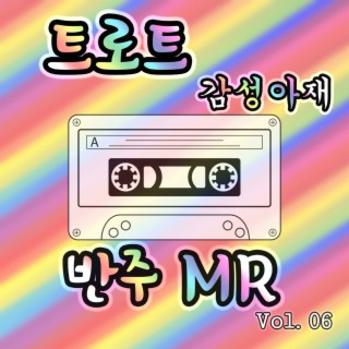 트로트 감성아재 반주 MR Vol. 06