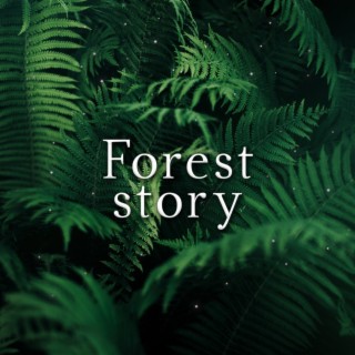 Forest Story