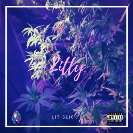 ShLitty ft. Nonamus | Boomplay Music