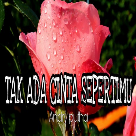 TAK ADA CINTA SEPERTIMU | Boomplay Music