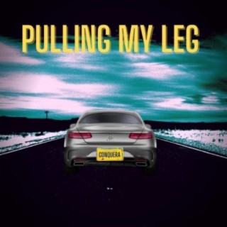 Pulling My Leg