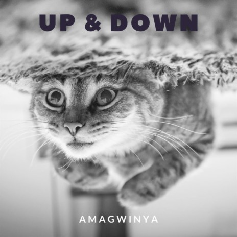 Up & Down