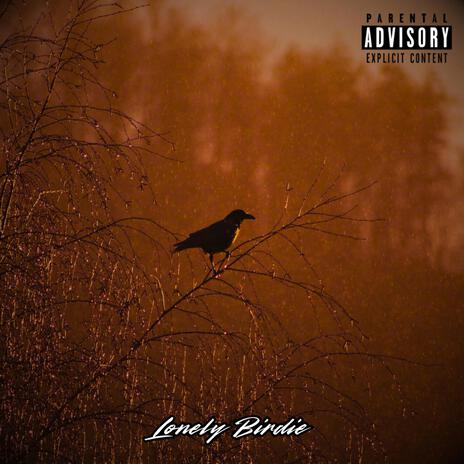 Lonely Birdie | Boomplay Music