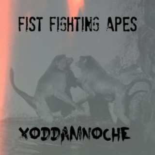 Fist Fighting Apes