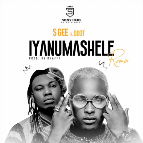Iyanumashele (Remix) ft. Qdot | Boomplay Music