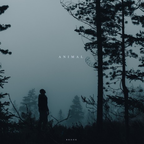 Ashes | Boomplay Music