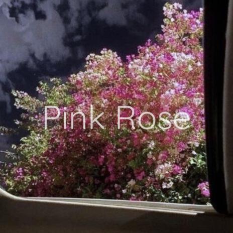 Pink Rose