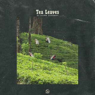 Tea Leaves