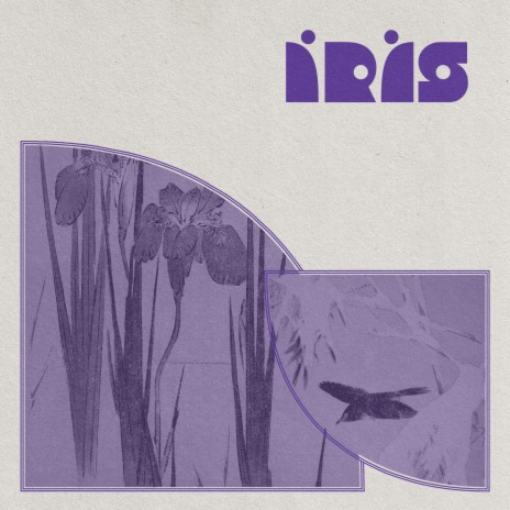 Íris | Boomplay Music