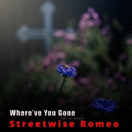 Where've You Gone | Boomplay Music