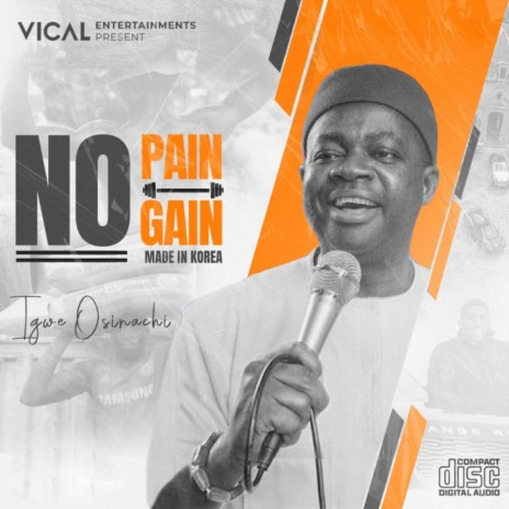 No Pain No Gain | Boomplay Music