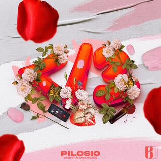 </3 - PILOSIO