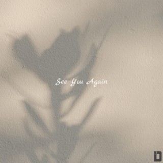 See You Again lyrics | Boomplay Music