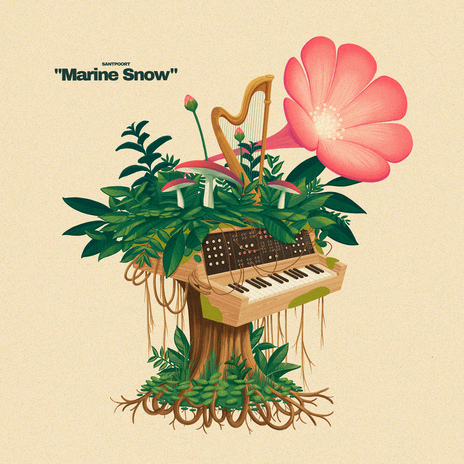 Marine Snow | Boomplay Music