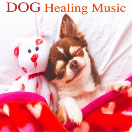 Music for Stress Relief (Pet Care Music Therapy) | Boomplay Music