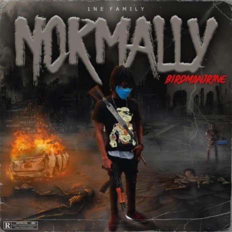 Normally ft. Birdman Jr1ne | Boomplay Music