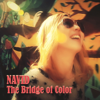 The Bridge Of Color