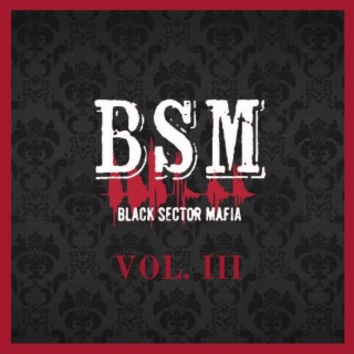 BSM (Vol.3)