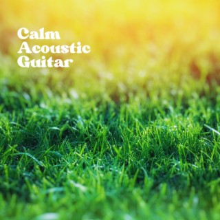 Calm Acoustic Guitar