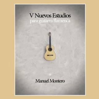 V Nuevos Estudios para Guitarra Flamenca