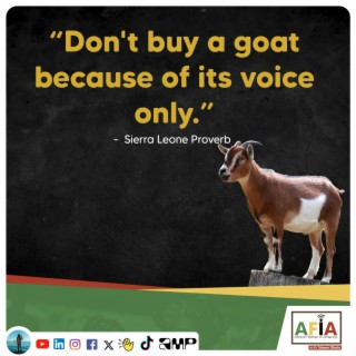 Don’t Buy a Goat Because of Its Voice Only | African Proverb | AFIAPodcast