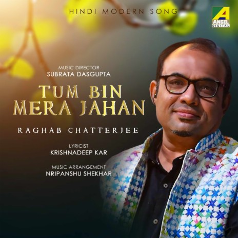 Tum Bin Mera Jahan | Boomplay Music