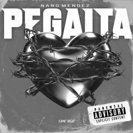 PeGaita | Boomplay Music