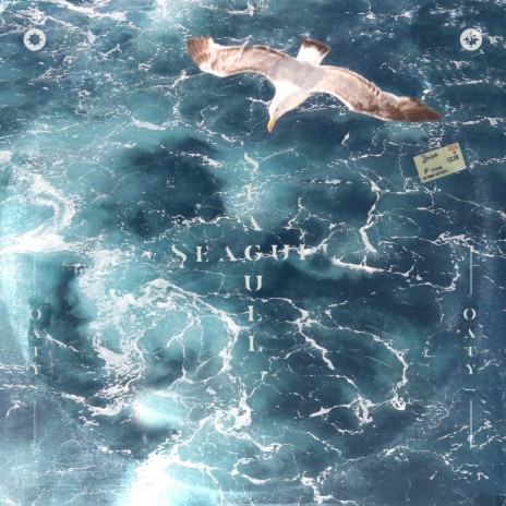 Seagull | Boomplay Music