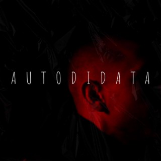 autodidata