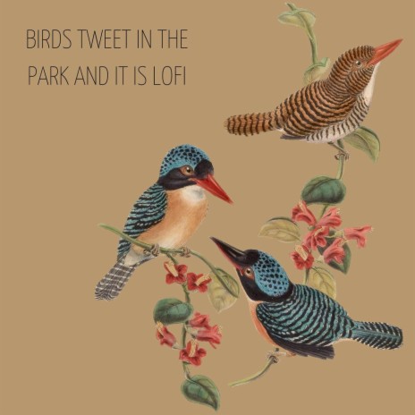 Birds Tweet in the Park and It Is Lofi