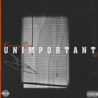 Unimportant