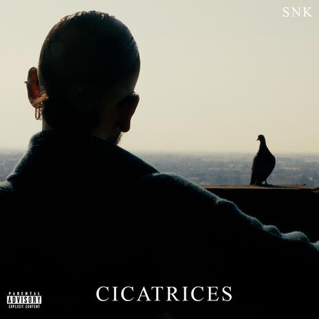 Cicatrices | Boomplay Music