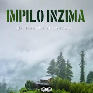 Impilo Inzima